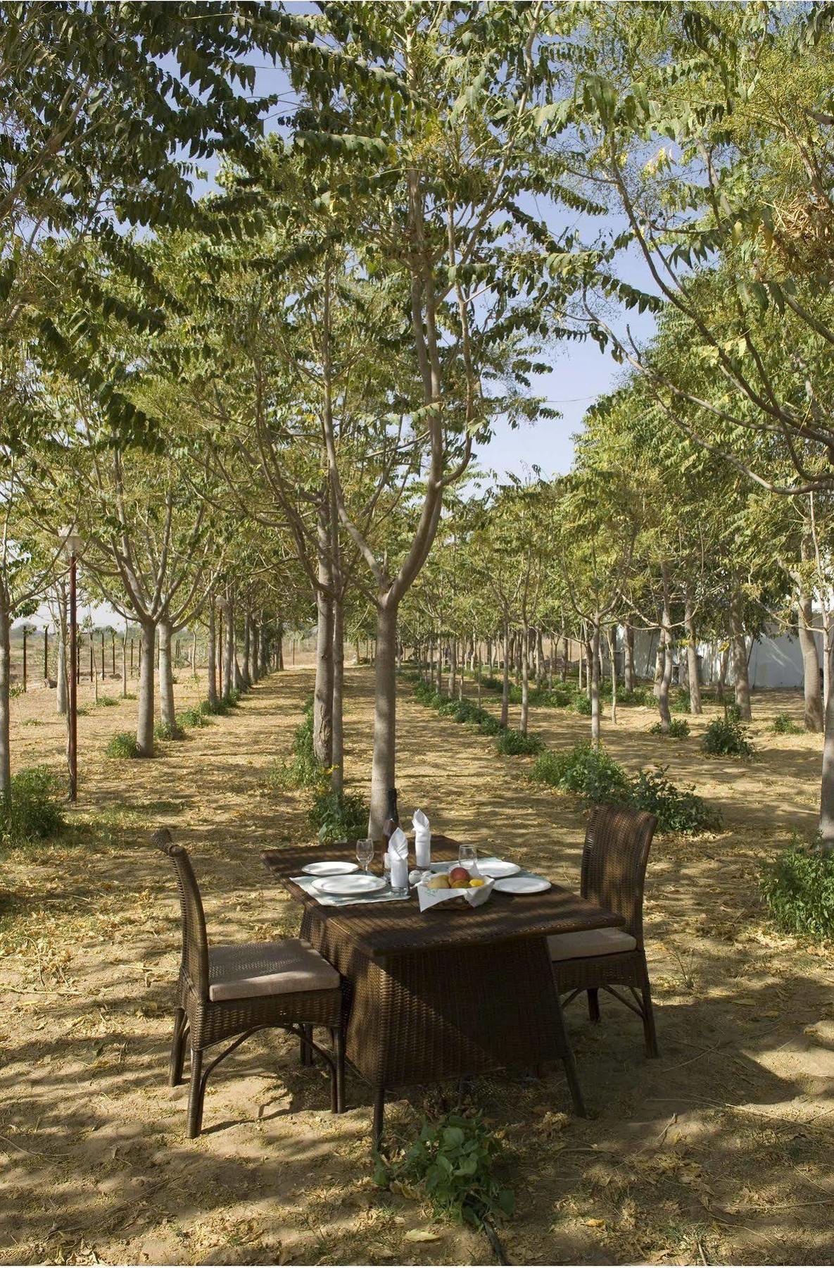 The Greenhouse Resort Πουσκάρ Εξωτερικό φωτογραφία
